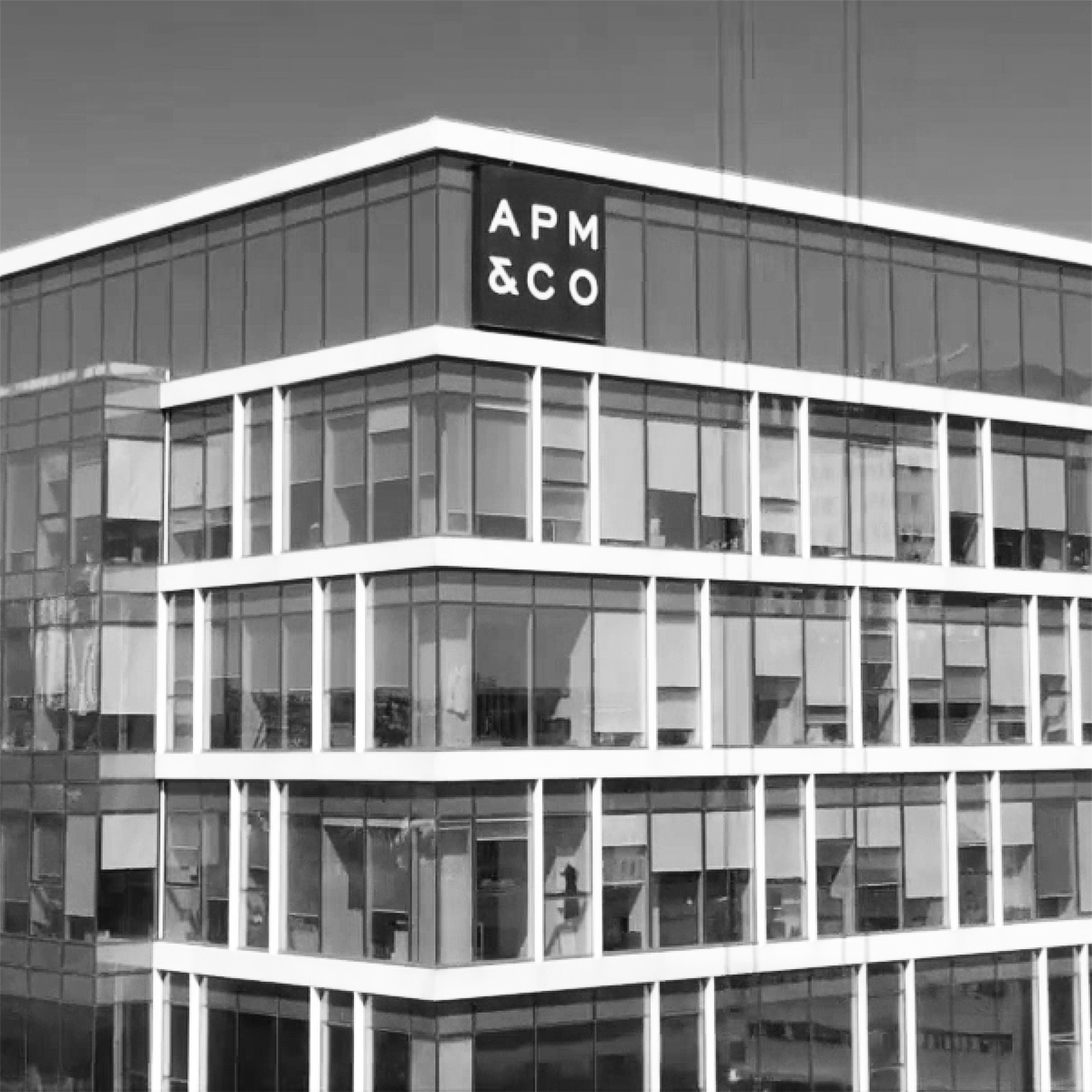 APM Co Top Law Firms In Israel Our FirmAPM Co 